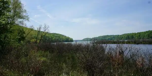 1000 Mccallie Ferry Rd