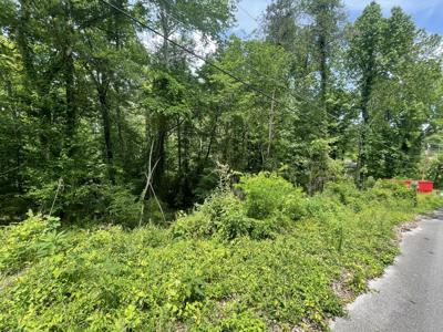 Lot 3 Tonja Ln