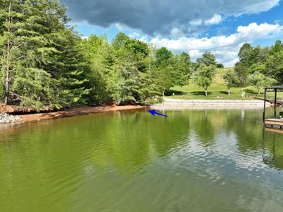 211 Blue Heron Bluff