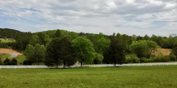 Image 2: 4
