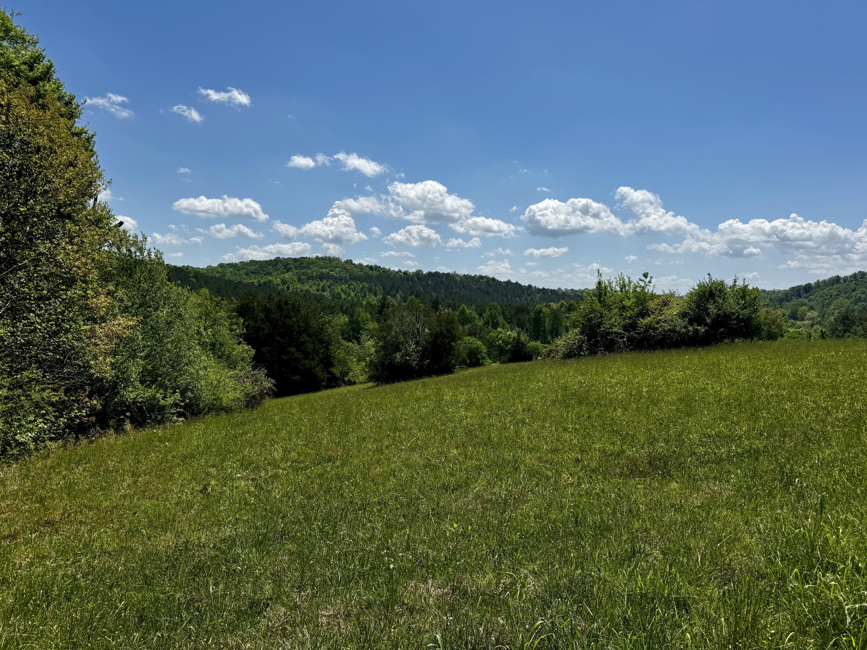 Image 3: IMG_7759