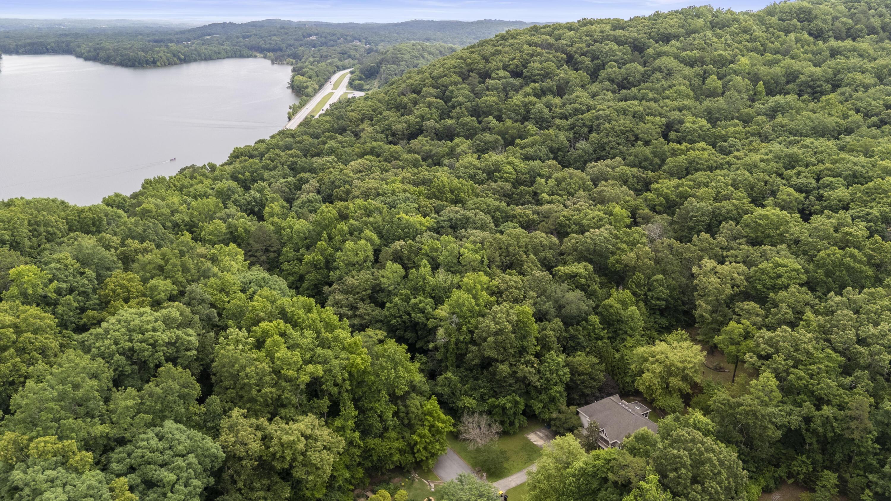 Image 3: Proximity to Wolftever