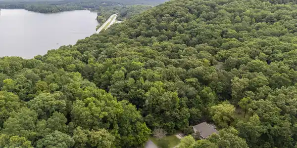 Image 3: Proximity to Wolftever