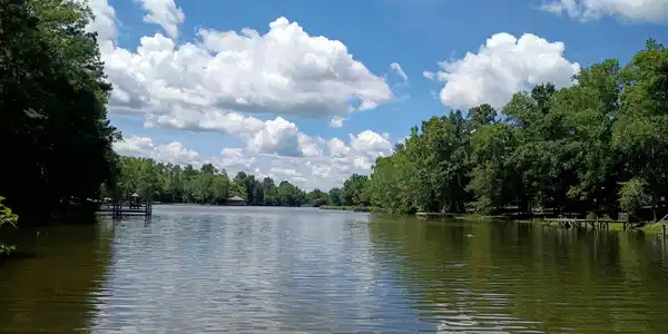4.4 Acres County Road 219