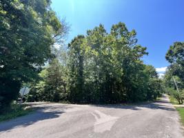 13415 Lisa Ln