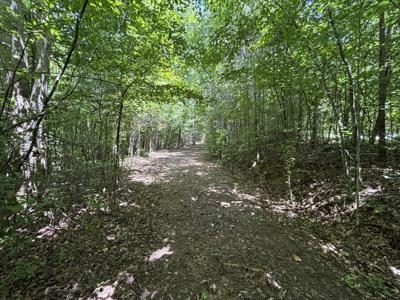 1 Mullins Cove Road