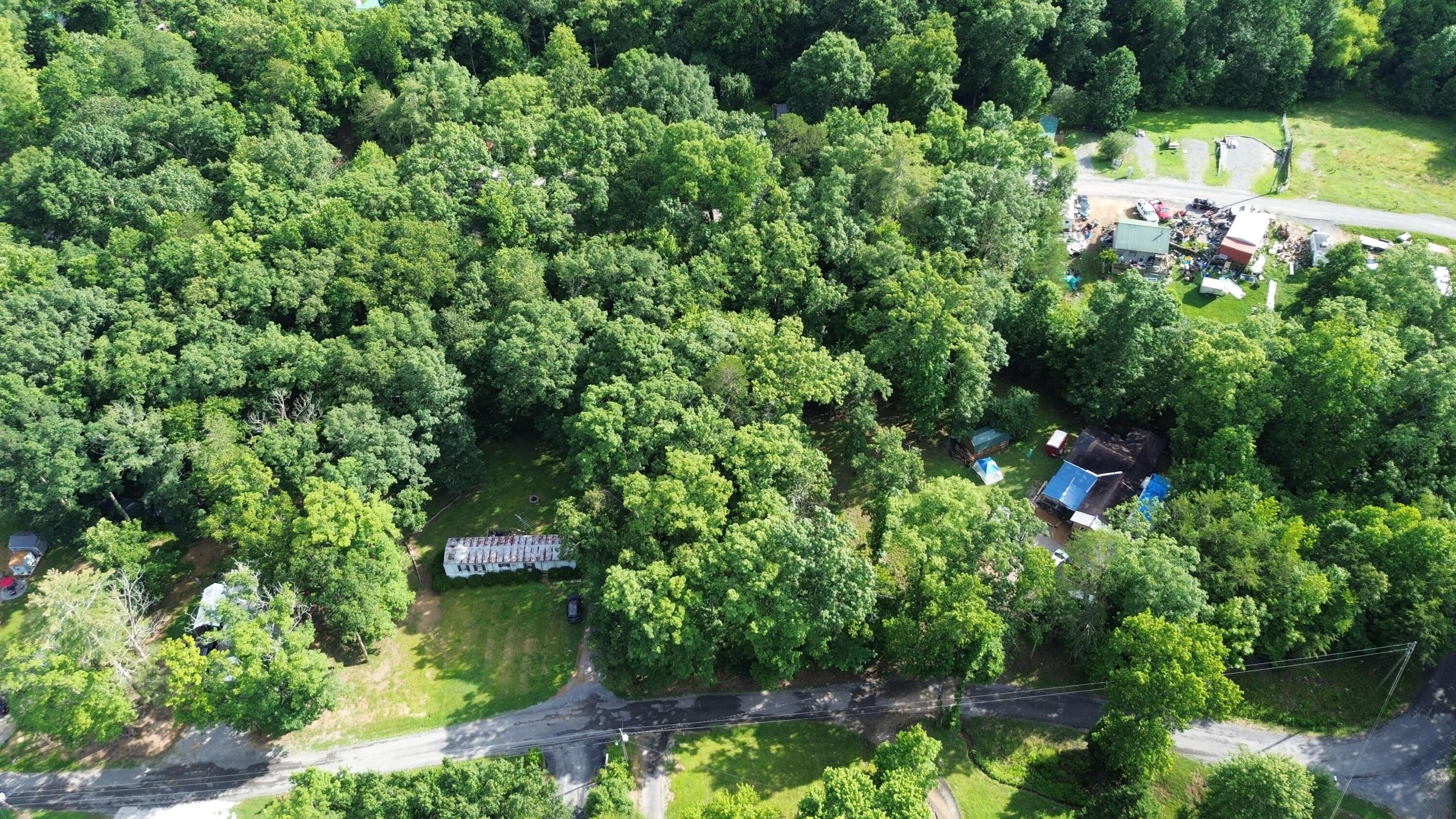 Image 4: DJI_0331