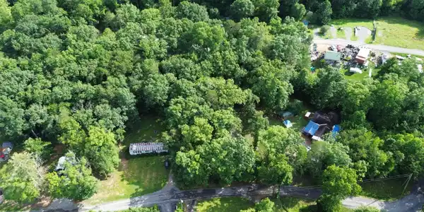 Image 4: DJI_0331