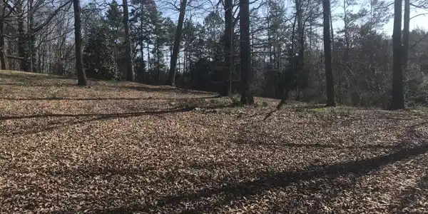 28.53 Acre NW Lower River Rd