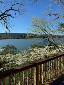 11646 Hixson Pike
