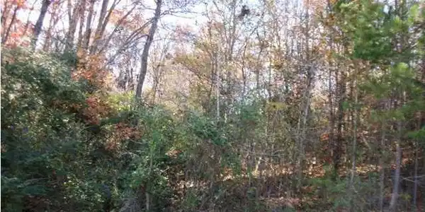 2009 River Bluff Dr