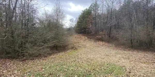 Tbd Bluff Rd