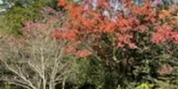 0 Riverview Ln  Lot 15