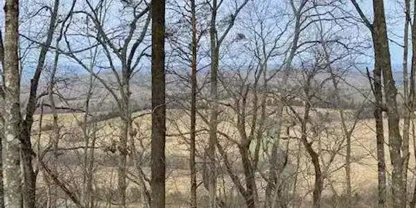 Lot 8 River Road  8