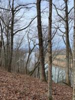 Lot 9 River Road  9