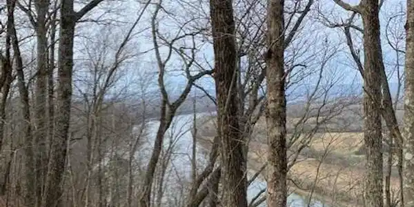 Lot 9 River Road  9