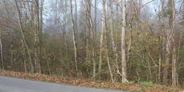 Lot 54 Holly Glen Ln