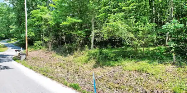 Image 2: 1-web-or-mls-DJI_0031