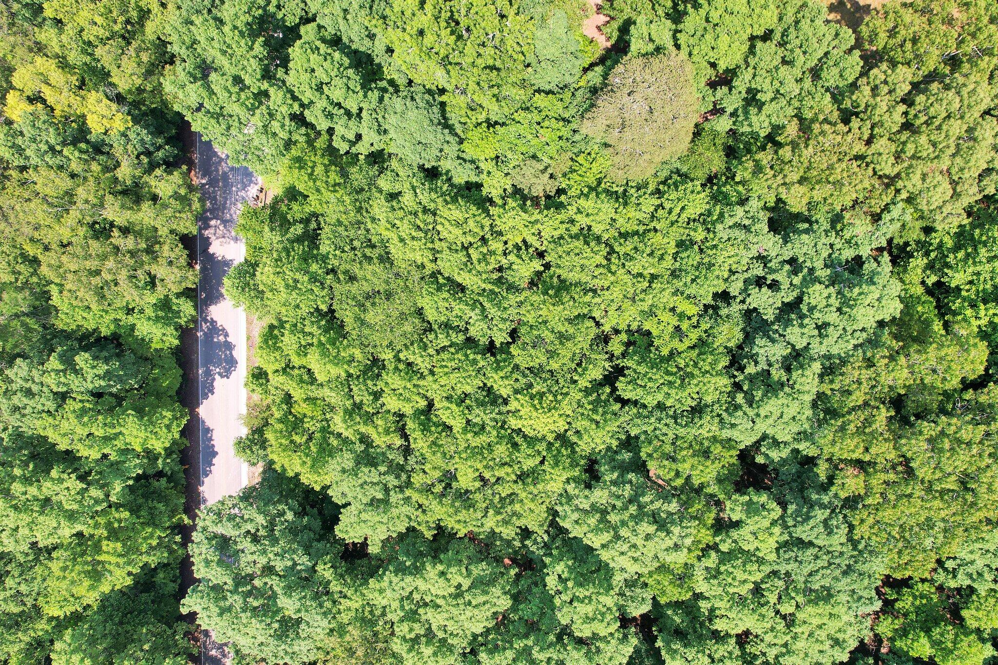 Image 4: 3-web-or-mls-DJI_0037