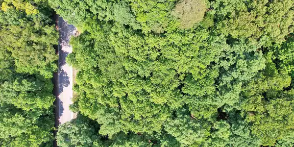 Image 4: 3-web-or-mls-DJI_0037
