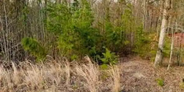 Lot 53 Holly Glen Ln Lot 53