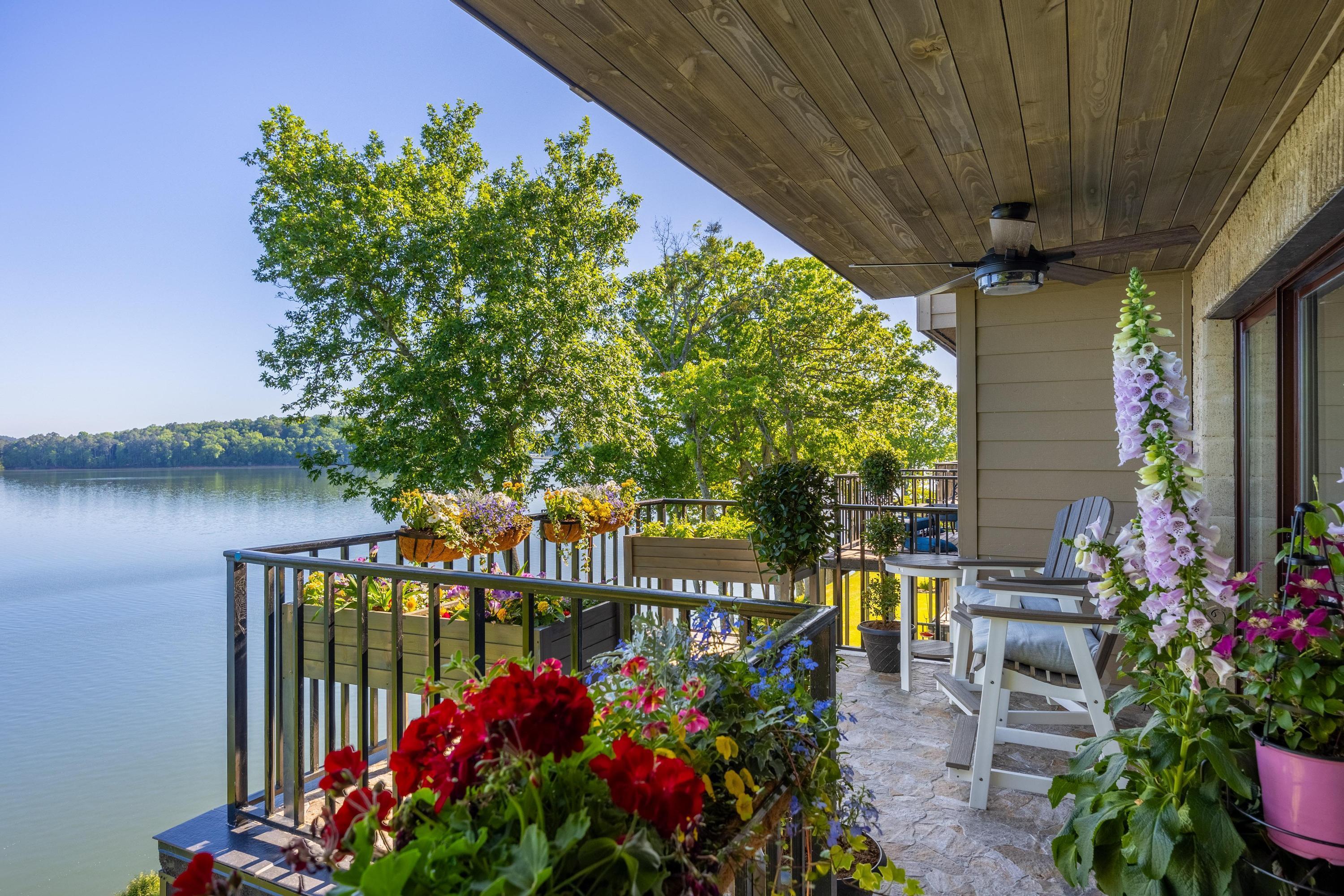Image 4: Patio
