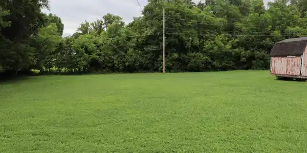 Image 3: Yard