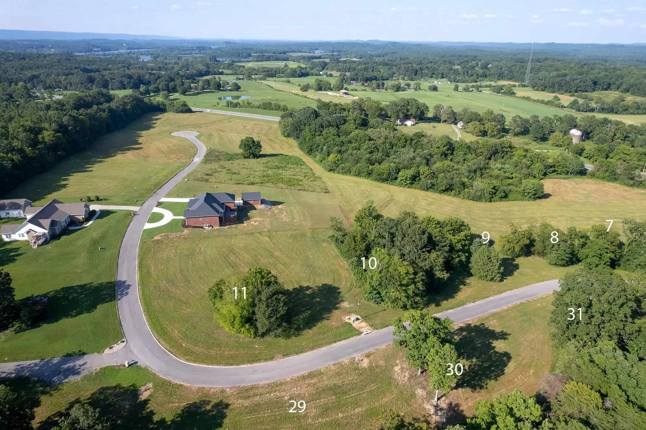 Image 1: lot 31 1