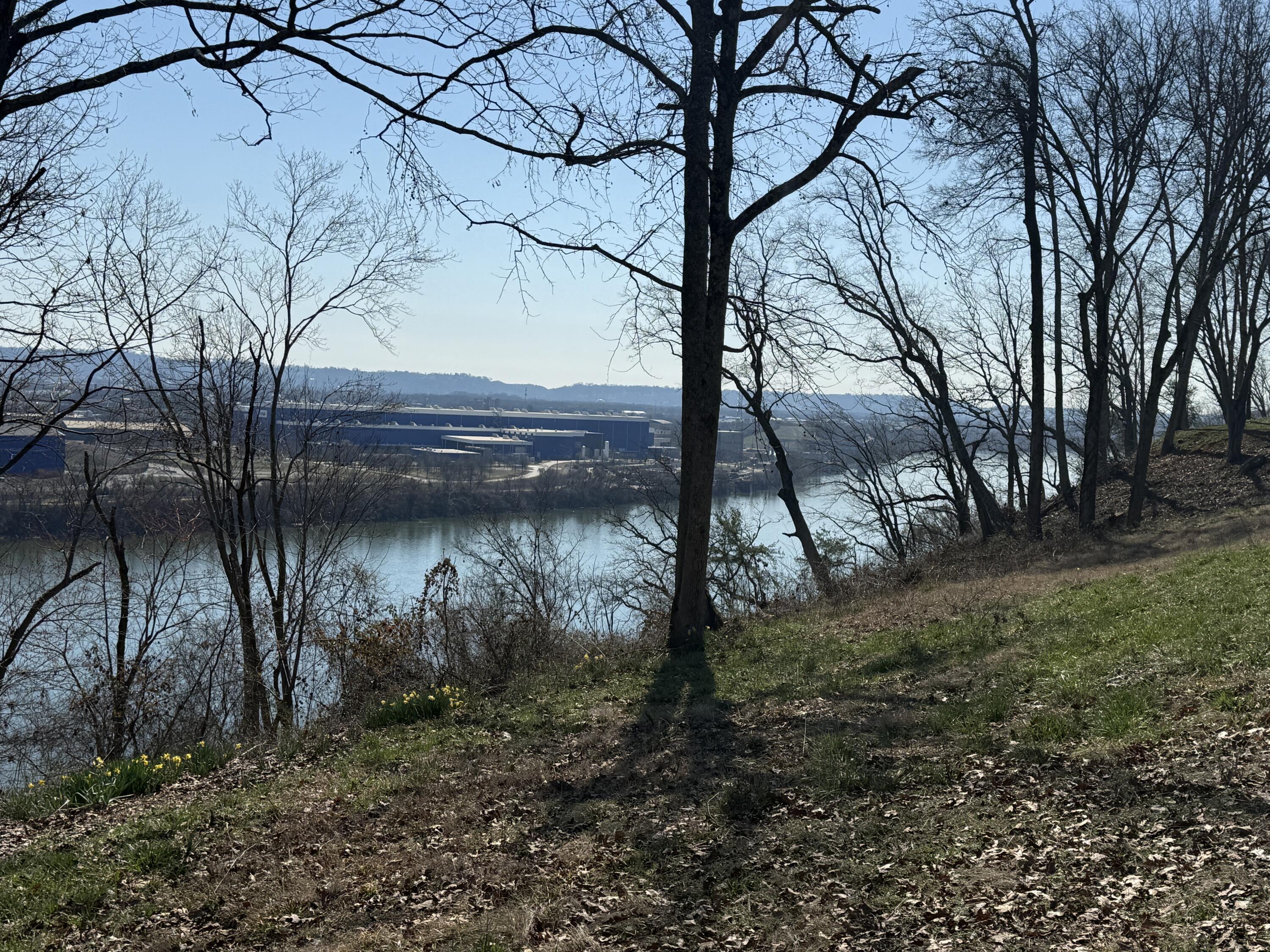 Image 3: IMG_0568