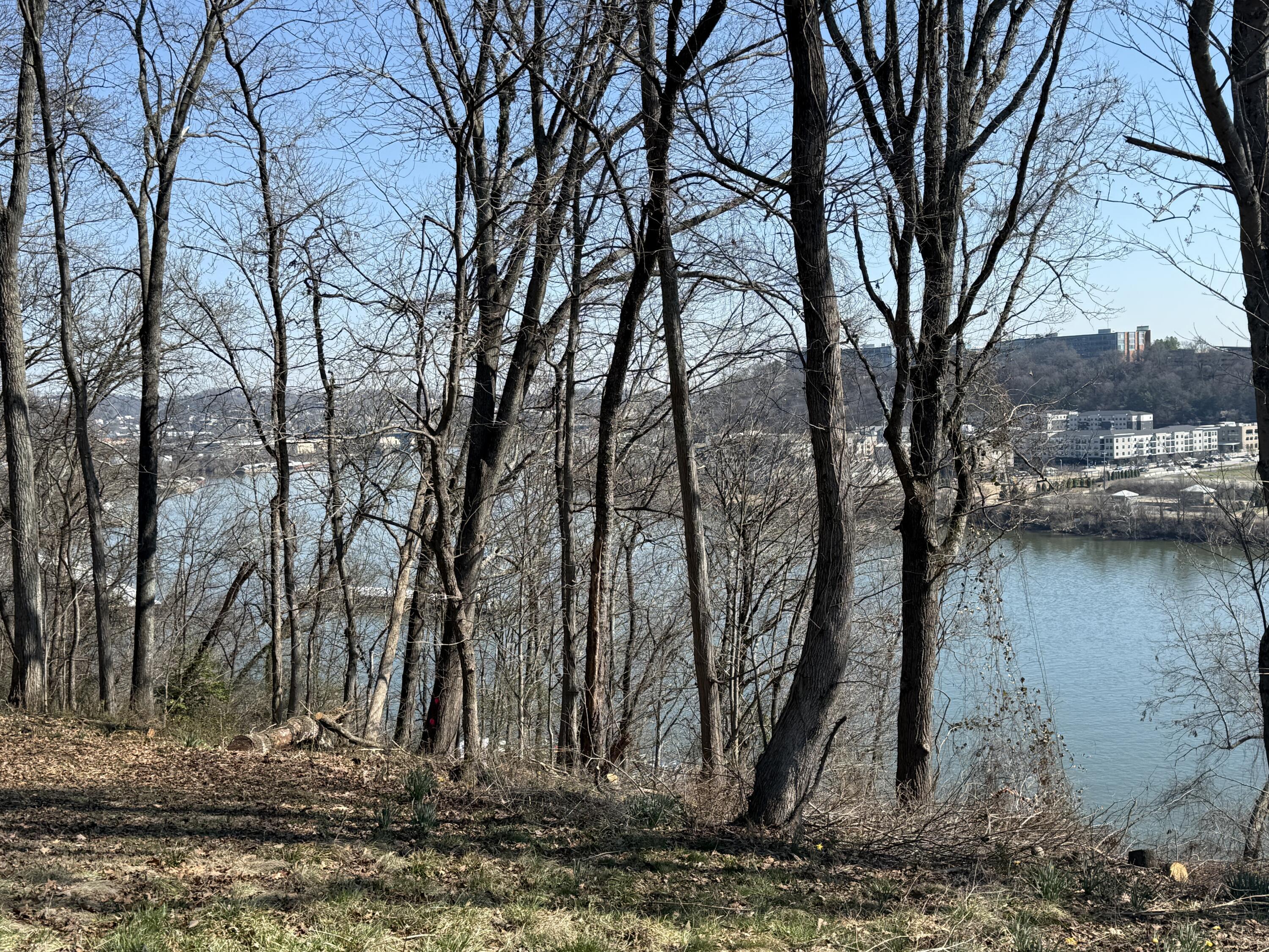 Image 4: IMG_0569