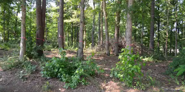 18 Woods Subdivision Ln 18