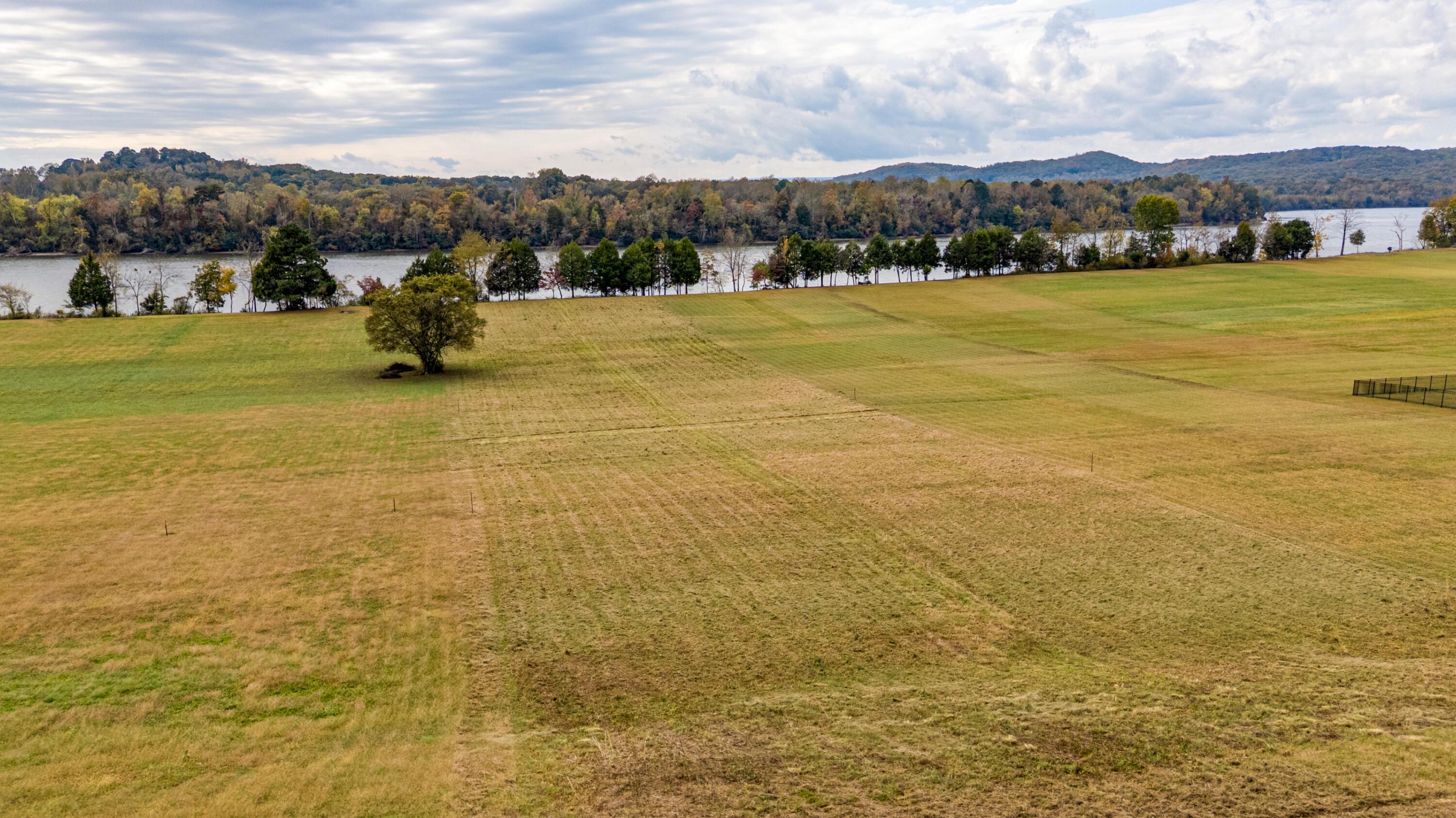 Image 2: 01-Espalier Bay 61-1