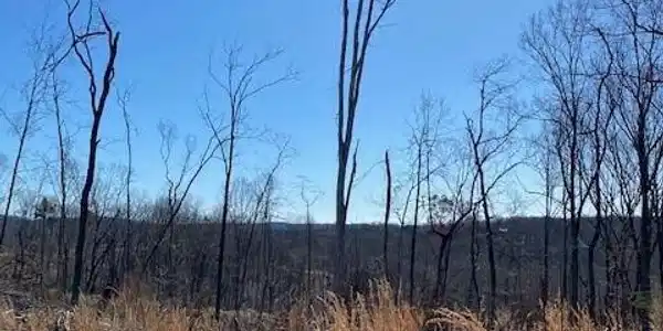 Tract 13 River Road