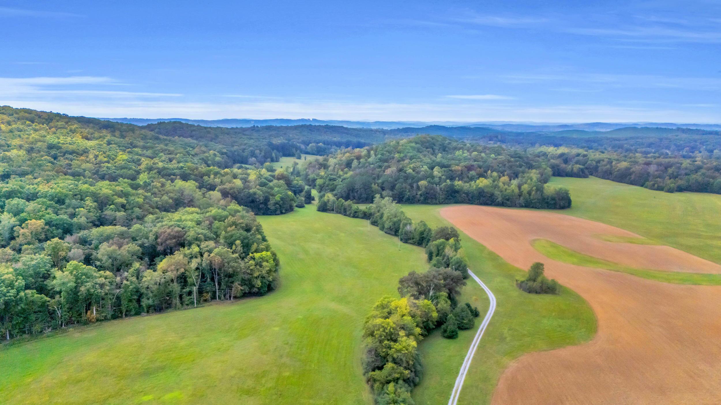 Image 4: 887 New Bethel Rd-6