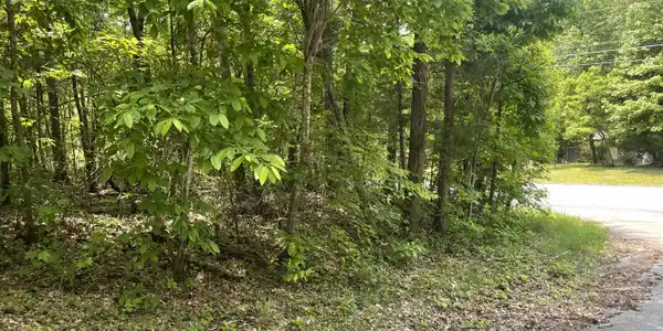 Lot 48 Tonja Ln