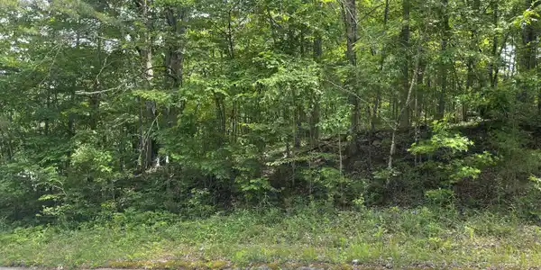 Lot 55 Tonja Ln