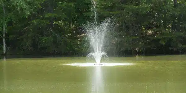 0000 Lakesite Ln 172 & 173