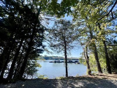 7241 Lakeshore Drive