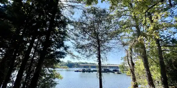 7241 Lakeshore Drive