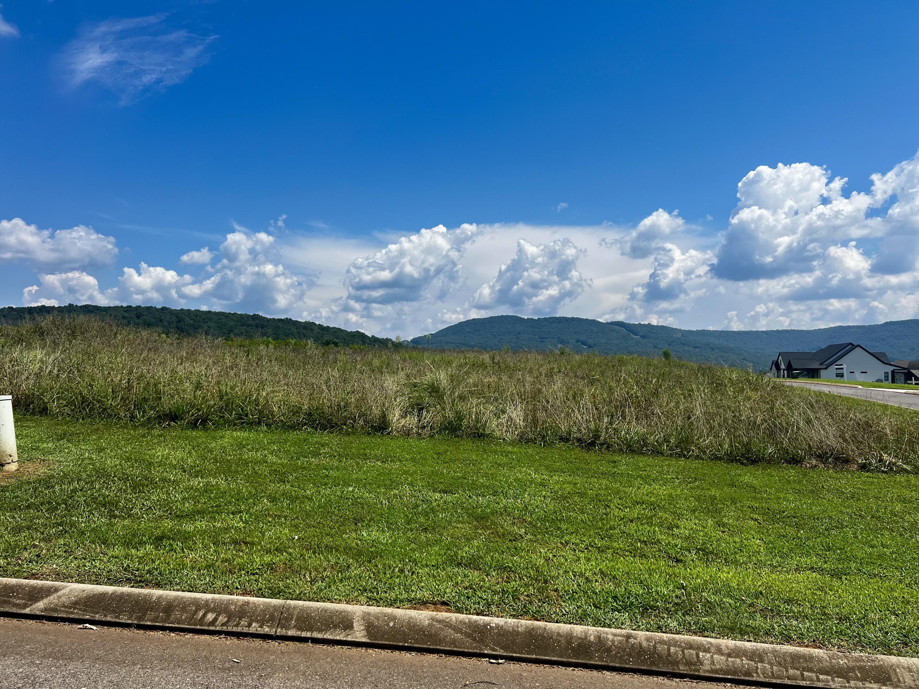 Image 3: IMG_4304