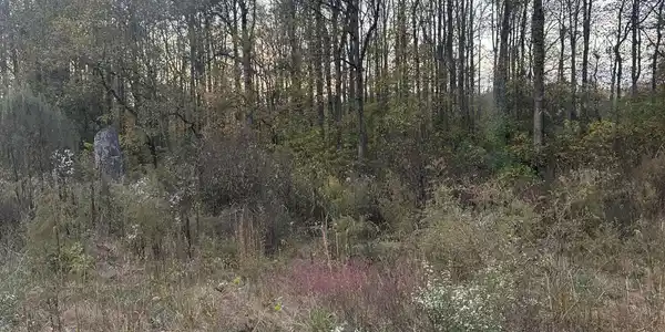 Lot 7 Lake Forest Drive