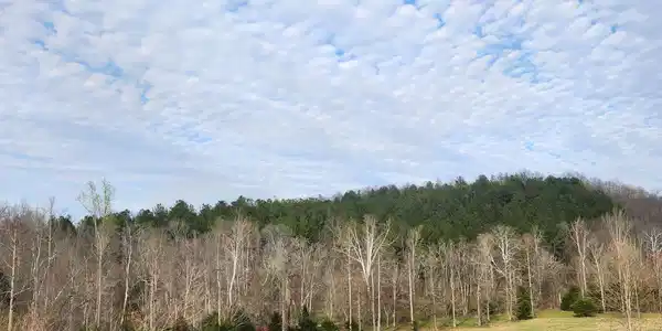 0 Mill Drive