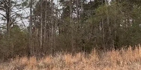 0 Sugar Tree Trail