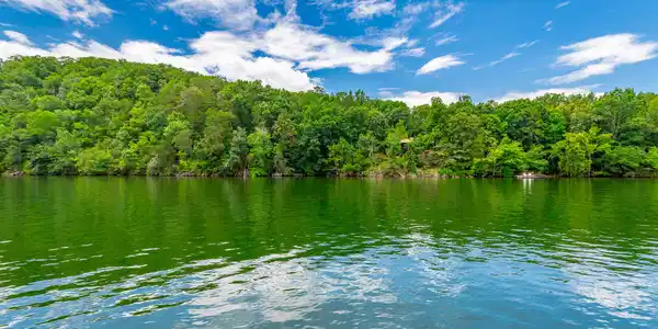 Image 2: 1033 Clift Cave Road HD-50