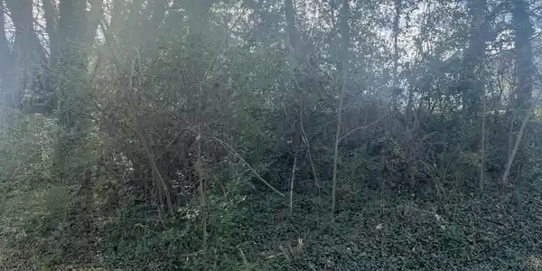 0 Rotary Drive