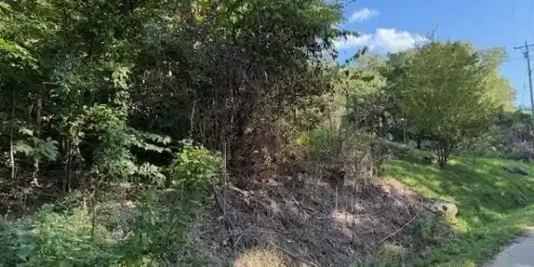 Lot 13 Mullins Cove Road