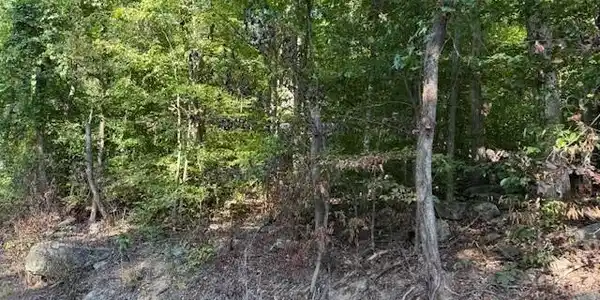 Image 3: 2