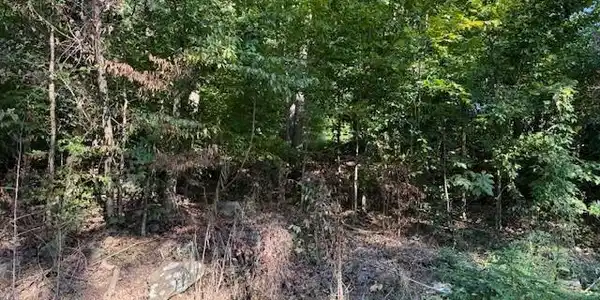 Image 4: 3
