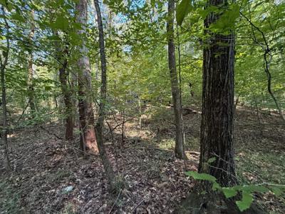 Lot 5 Mullins Cove Road