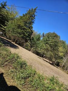 0 Sugar Tree Trail